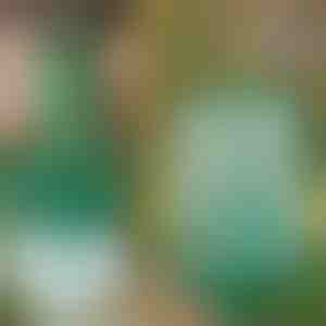 Opakovane použiteľná závesná pasca na muchy pre záhradu, terasu a balkón | INSECTA