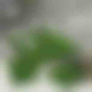 Dekoračné umelé trávnaté dlaždice (5ks) | GRASSTILE